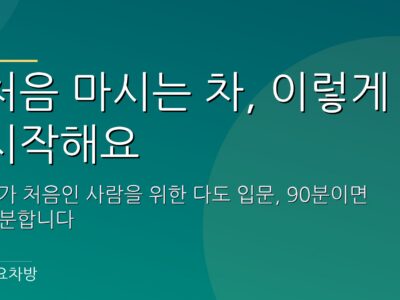 혼자 앉는 자리에 찻잔 하나가 놓인 조용한 티하우스